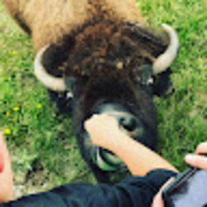 Meet your Posher, Ian